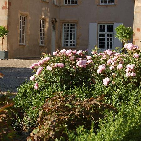Chateau Du Riau Bed & Breakfast Villeneuve-sur-Allier Екстериор снимка
