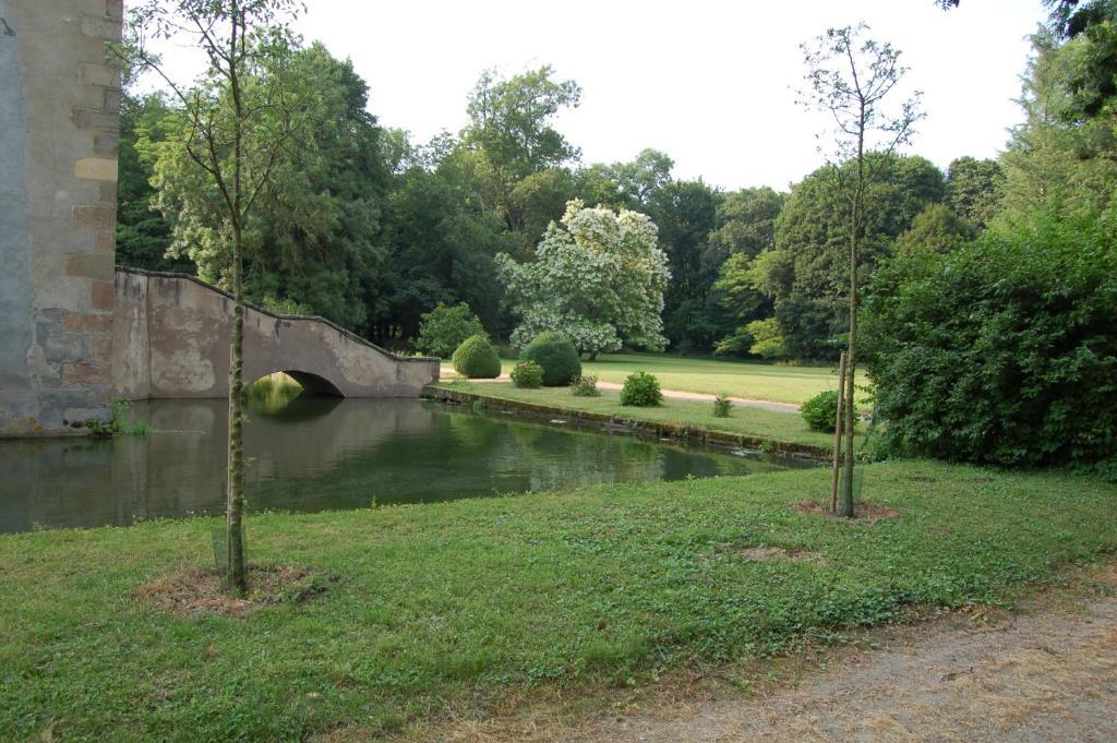 Chateau Du Riau Bed & Breakfast Villeneuve-sur-Allier Екстериор снимка