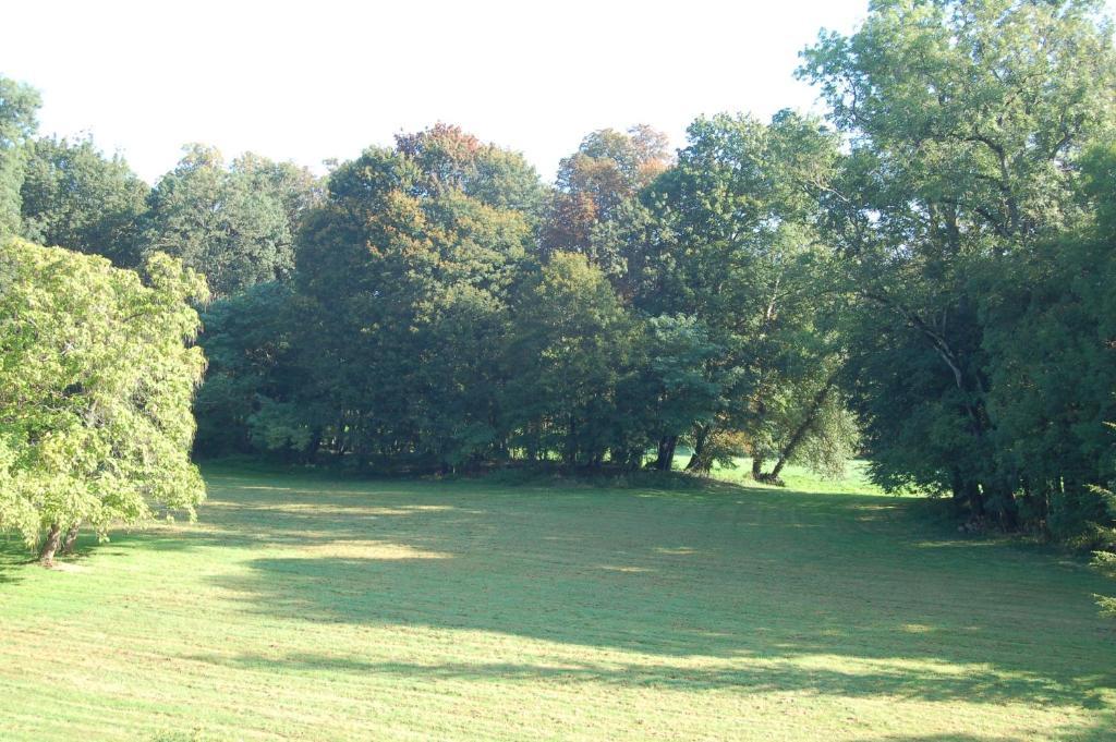 Chateau Du Riau Bed & Breakfast Villeneuve-sur-Allier Екстериор снимка