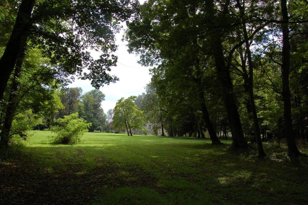 Chateau Du Riau Bed & Breakfast Villeneuve-sur-Allier Екстериор снимка